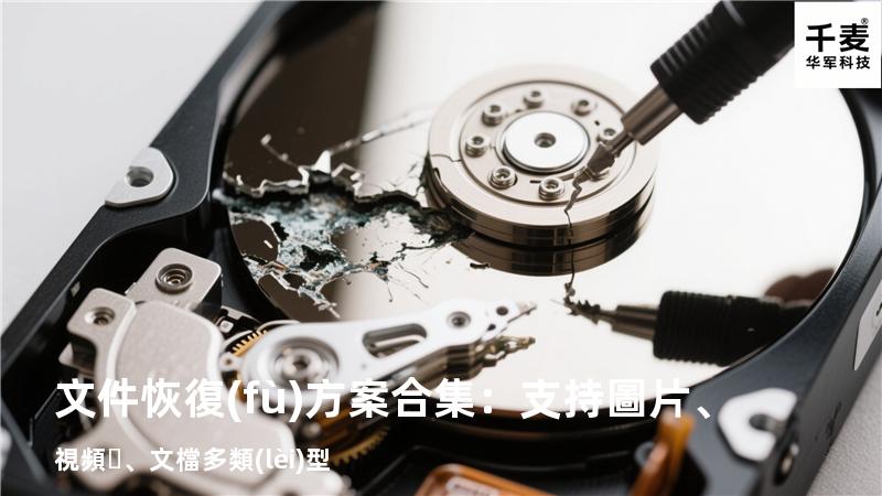 文件恢復(fù)方案合集：支持圖片、視頻、文檔多類(lèi)型 